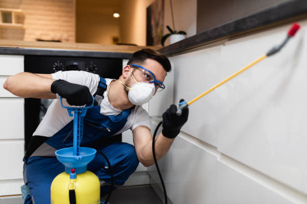 Pest Prevention Services in Long Prairie, MN