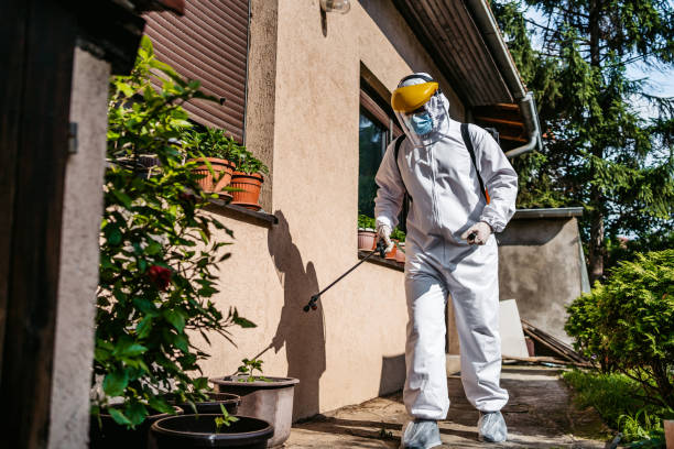 Best Best Pest Control Companies  in Long Prairie, MN