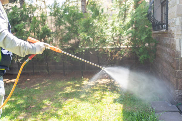 Best Termite Control Services  in Long Prairie, MN