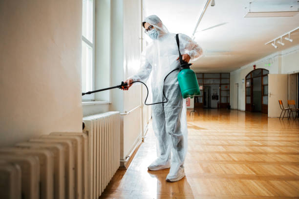 Best Cockroach Control Services  in Long Prairie, MN