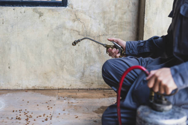 Best Emergency Pest Control  in Long Prairie, MN